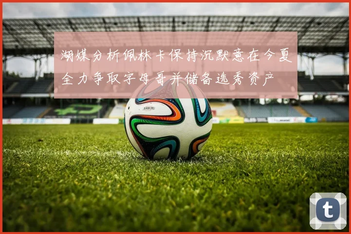 湖媒分析佩林卡保持沉默意在今夏全力争取字母哥并储备选秀资产