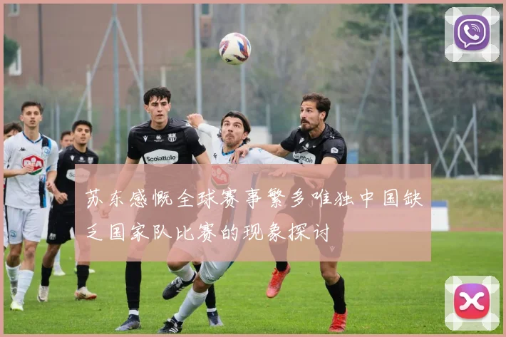 苏东感慨全球赛事繁多唯独中国缺乏国家队比赛的现象探讨