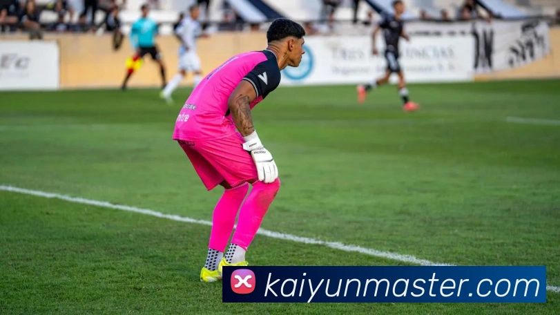 开云体育平台生态图