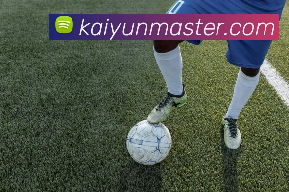 开云体育APP 封面图